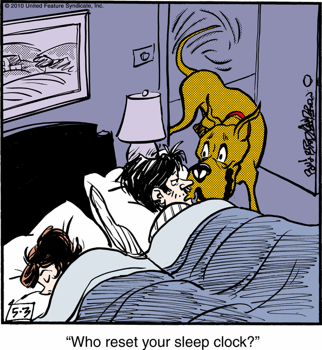marmaduke